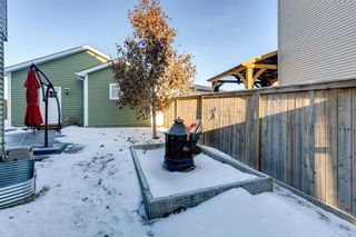 Photo 39: 94 Autumn Crescent SE in Calgary: Auburn Bay Detached for sale : MLS®# A2017340