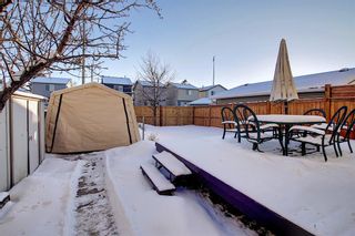 Photo 41: 148 Martinbrook Road NE in Calgary: Martindale Detached for sale : MLS®# A1069504