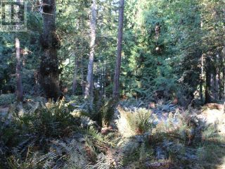 Photo 4: 1394/1400 VANCOUVER BLVD in Savary Island: Vacant Land for sale : MLS®# 16901