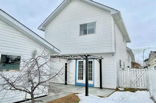 Photo 44: 11 ERIN Link SE in Calgary: Erin Woods Detached for sale : MLS®# A2119182