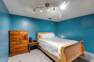 Photo 31: 115 Queensland Circle SE in Calgary: Queensland Detached for sale : MLS®# A2112471