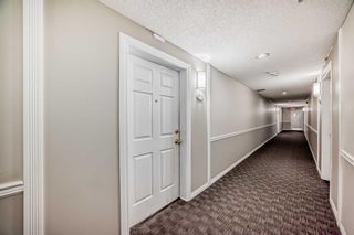 Photo 33: 310 270 Shawville Way SE in Calgary: Shawnessy Apartment for sale : MLS®# A2130341