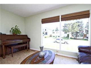 Photo 8: 3611 LOGAN Crescent SW in CALGARY: Lakeview Residential Detached Single Family for sale (Calgary)  : MLS®# C3580842