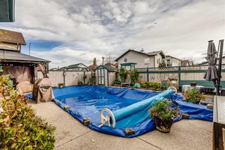 Photo 38: 2304 Luxstone Boulevard SW: Airdrie Detached for sale : MLS®# A2086056