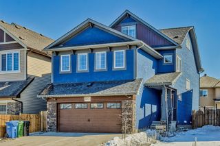 Photo 2: 327 Skyview Shores Manor NE in Calgary: Skyview Ranch Detached for sale : MLS®# A2034805