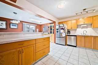 Photo 23: 113 Rivercrest Circle SE in Calgary: Riverbend Detached for sale : MLS®# A1206348