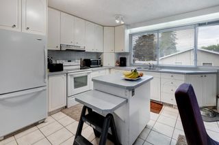 Photo 10: 2011 56 Avenue SW in Calgary: North Glenmore Park Detached for sale : MLS®# A1228572