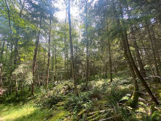 Photo 11: Lot 11 DISTRICT LOT 71 AND 77: Galiano Island Land for sale (Islands-Van. & Gulf)  : MLS®# R2871792