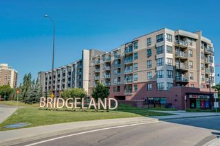 Photo 22: 305 46 9 Street NE in Calgary: Bridgeland/Riverside Apartment for sale : MLS®# A1208978