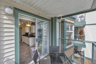 Photo 14: 303 894 Vernon Ave in Saanich: SE Swan Lake Condo for sale (Saanich East)  : MLS®# 899930