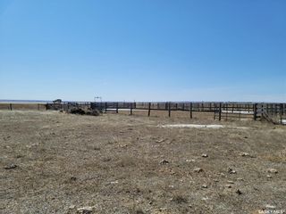 Photo 9: 1,368.23 Acres Near Mortlach, SK in Wheatlands: Farm for sale (Wheatlands Rm No. 163)  : MLS®# SK892363