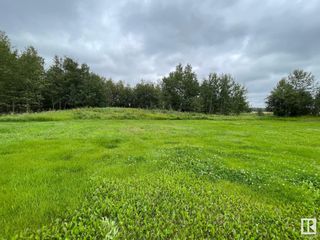 Photo 40: 23103 Twp Rd 610: Rural Thorhild County House for sale : MLS®# E4354086