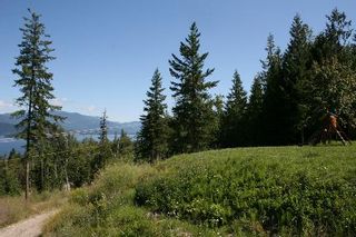 Photo 9: 3.66 Acres with an Epic Shuswap Water View!