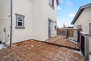 Photo 33: 138 Marquis Common SE in Calgary: Mahogany Detached for sale : MLS®# A2015247
