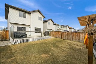 Photo 39: 150 Cranwell Square SE in Calgary: Cranston Detached for sale : MLS®# A1202803