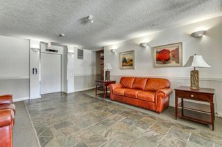 Photo 23: 108 6 Hemlock Crescent SW in Calgary: Spruce Cliff Apartment for sale : MLS®# A1210992