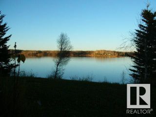 Photo 6: TWP RD 633 A Rge Rd 261A: Rural Westlock County Rural Land/Vacant Lot for sale : MLS®# E4302865