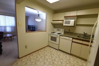 Photo 11: 409 9 Arden Avenue in Winnipeg: Condominium for sale (2C)  : MLS®# 202303335