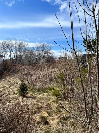 Photo 3: 396 York Street in Glace Bay: 203-Glace Bay Vacant Land for sale (Cape Breton)  : MLS®# 202308690