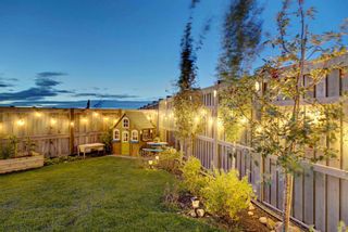 Photo 44: 123 Masters Heights SE in Calgary: Mahogany Detached for sale : MLS®# A1050411