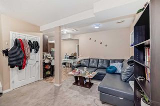 Photo 29: 50 Skyview Shores Crescent NE in Calgary: Skyview Ranch Detached for sale : MLS®# A2125037