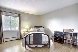 Photo 18: 78D 231 HERITAGE Drive SE in Calgary: Acadia Apartment for sale : MLS®# C4305999