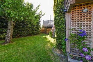 Photo 5: 668 22nd St in Courtenay: CV Courtenay City House for sale (Comox Valley)  : MLS®# 906090