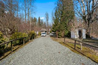 Photo 24: 26269 58TH Avenue in Langley: County Line Glen Valley House for sale : MLS®# R2857905