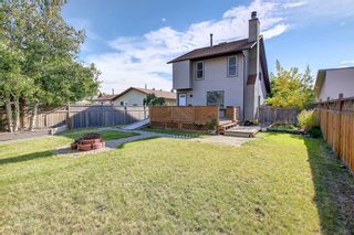 Photo 41: 112 Beddington Circle NE in Calgary: Beddington Heights Detached for sale : MLS®# A2001674