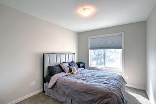 Photo 29: 63 Nolan Hill Boulevard NW in Calgary: Nolan Hill Row/Townhouse for sale : MLS®# A1221570