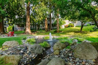 Photo 39: 24 21848 50 Avenue in Langley: Murrayville Townhouse for sale in "Cedar Crest Estates" : MLS®# R2743511