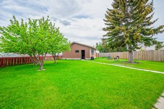 Photo 29: 124 Whitmire Road NE in Calgary: Whitehorn Detached for sale : MLS®# A1214643