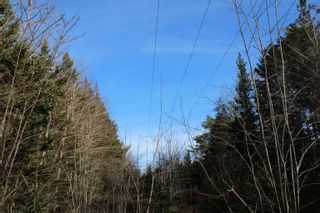 Photo 14: Lot 1 Power Lot Road in Clementsport: Annapolis County Vacant Land for sale (Annapolis Valley)  : MLS®# 202227444