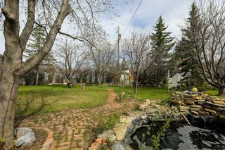 Photo 6: 323 Whitney Street: Carmangay Detached for sale : MLS®# A2130304