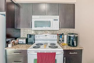 Photo 14: 806 8710 horton Road SW in Calgary: Haysboro Apartment for sale : MLS®# A2013640