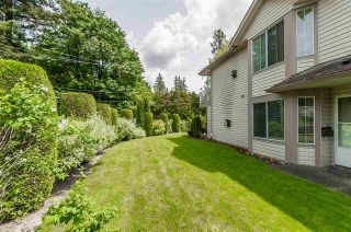 Photo 19: 60 3110 TRAFALGAR Street in Abbotsford: Central Abbotsford Townhouse for sale in "Northview" : MLS®# R2270607