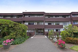 Photo 18: 102 341 W 3RD Street in North Vancouver: Lower Lonsdale Condo for sale in "Lisa Place" : MLS®# R2406775