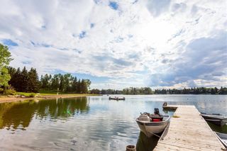 Photo 42: 844 LAKE LUCERNE Drive SE in Calgary: Lake Bonavista Detached for sale : MLS®# A1034964