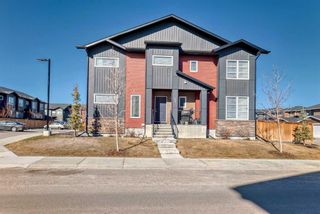 Photo 29: 317 31 Red Embers Parade NE in Calgary: Redstone Row/Townhouse for sale : MLS®# A2122175