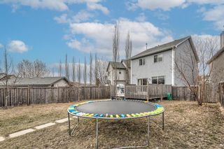 Photo 42: 117 Prestwick Rise SE in Calgary: McKenzie Towne Detached for sale : MLS®# A1242668