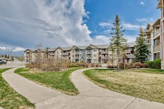 Photo 43: 1310 2370 Bayside Road SW: Airdrie Apartment for sale : MLS®# A2047981