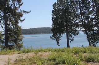 Photo 6: 1162 Front St in Ucluelet: PA Salmon Beach Land for sale (Port Alberni)  : MLS®# 866589