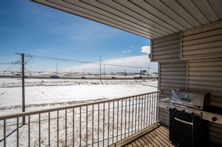 Photo 27: 3314 1620 70 Street SE in Calgary: Applewood Park Apartment for sale : MLS®# A2118344