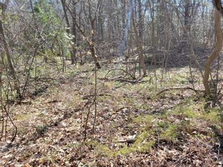Photo 4: Lot20B Giant's Tomb Island Acres in Tiny: Rural Tiny Property for sale : MLS®# S5885501