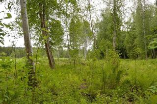 Photo 18: DL 1335A 37 Highway: Kitwanga Land for sale (Smithers And Area (Zone 54))  : MLS®# R2471833