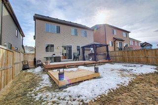 Photo 49: 117 Windgate Close: Airdrie Detached for sale : MLS®# A1084566