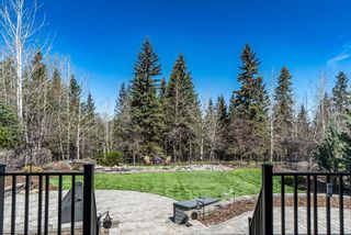 Photo 44: 160 Heritage Isle: Heritage Pointe Detached for sale : MLS®# A2108342