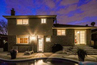 Photo 22: Detached Home in Brampton. Pie Shaped Lot. Pool.
