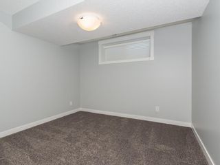 Photo 21: 166 SKYVIEW Circle NE in Calgary: Skyview Ranch Row/Townhouse for sale : MLS®# C4277691