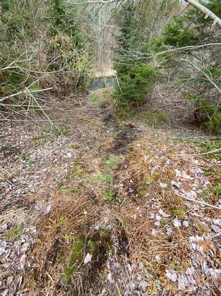 Photo 6: Sherbrooke Road in Greenvale: 108-Rural Pictou County Vacant Land for sale (Northern Region)  : MLS®# 202111683